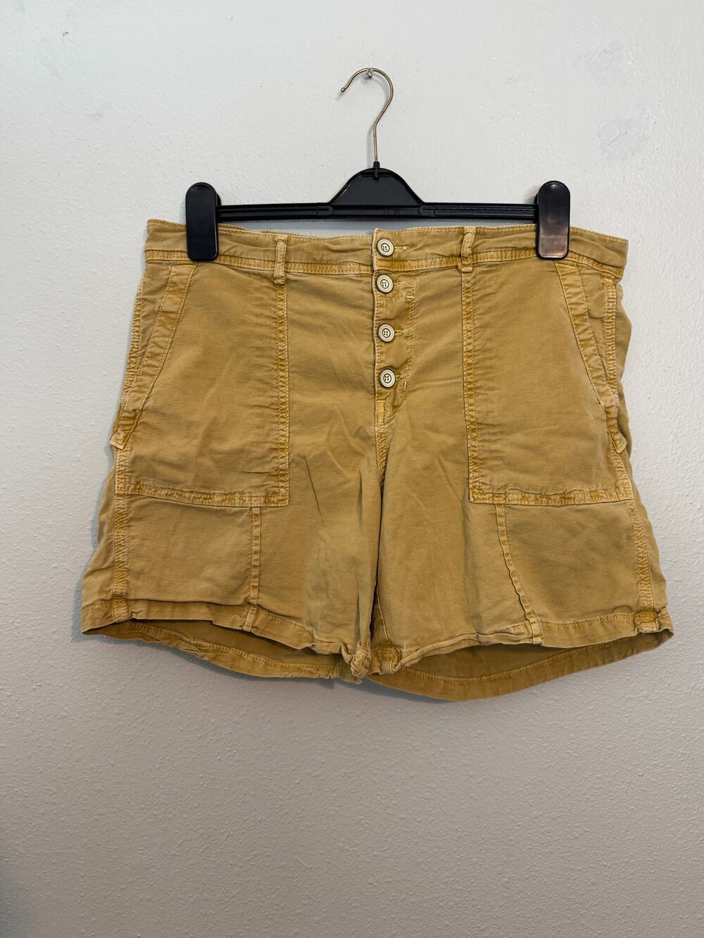 Anthropologie "The Wanderer" Tan Shorts // size 31